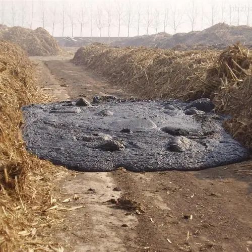 濮阳污泥处理